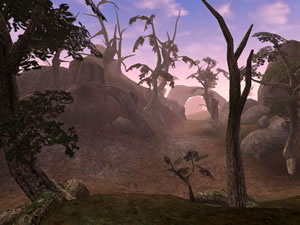 Wilderness