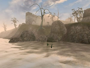 Castle near water